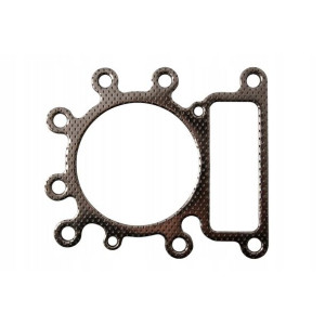 Uszczelka Głowicy Briggs Stratton Intek 273280s