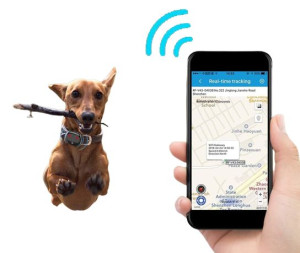 Lokalizator Gps Tracker Dla Psa Kota Zwierzaka Sim
