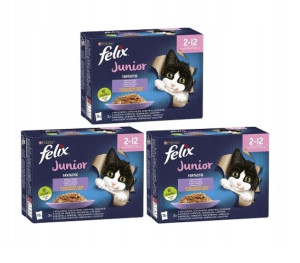 Felix Junior 4 smaki 36x85 g Nowa Receptura