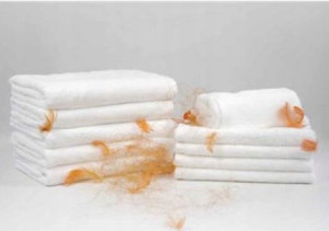 Ręcznik Kąpielowy 70x140 Frotte 500g Biały