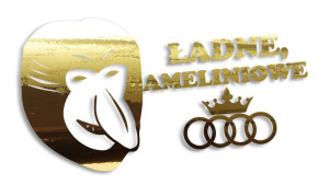 Wycinana naklejka NOSACZ JANUSZ ładne ameliniowe audi złoty chrom