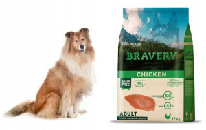 Bravery sucha karma PREMIUM dla psa o smaku KURCZAKA chicken 12kg