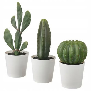 IKEA FEJKA sztuczne kaktusy kaktusiki miniaturki