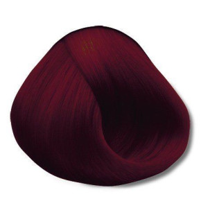 Chantal Farba Do Włosów 4/24 Burgund 120ml