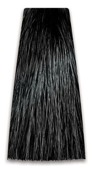 CHANTAL Farba Prosalon Intensis Color Art 100g odcień 1/0 - Czarny   