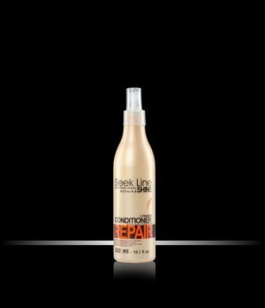 .Stapiz Odżywka dwufazowa z jedwabiem Sleek Line Repair 300ml  . .Wy