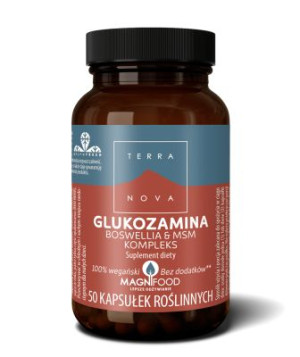 Glukozamina, Boswellia i MSM (kompleks na stawy) TERRANOVA (50 kps)