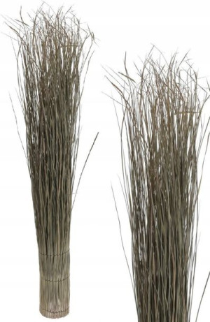 Trawa Trawy Snopek Trawy Trawa Naturalna 115cm