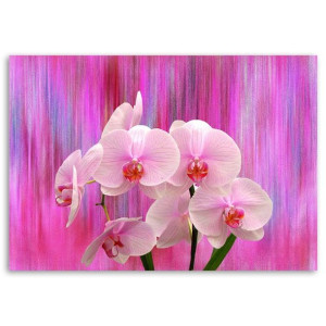 OBRAZ NA PŁÓTNIE Orchidea Storczyk Różowy 60x40