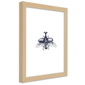Plakat w ramie naturalnej, Lecący żuk - 70x100