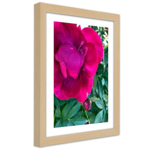 Plakat w ramie naturalnej, Różowy duży kwiat - 30x45