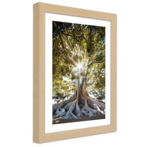 Plakat w ramie naturalnej, Wielkie egzotyczne drzewo - 30x45