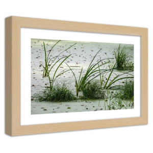 Plakat w ramie naturalnej, Trawy na plaży - 30x20