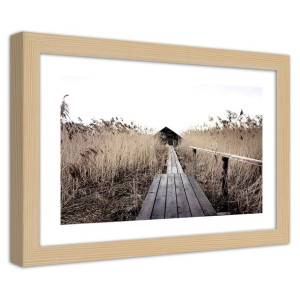 Plakat w ramie naturalnej, Stary pomost w wysokich trzcinach - 30x20