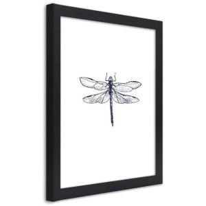 Plakat w ramie czarnej, Narysowana ważka - 20x30