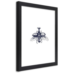 Plakat w ramie czarnej, Lecący żuk - 60x90