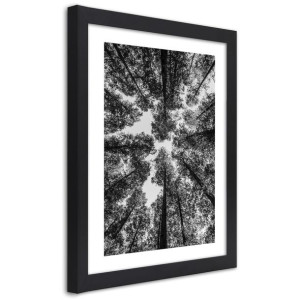 Plakat w ramie czarnej, Korony drzew - 20x30