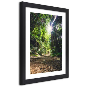 Plakat w ramie czarnej, Ścieżka w gęstym lesie - 60x90