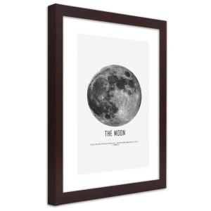Plakat w ramie brązowej, Księżyc - 30x45