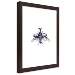 Plakat w ramie brązowej, Lecący żuk - 40x60