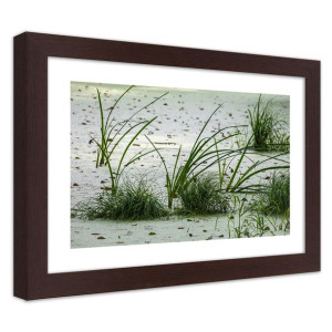 Plakat w ramie brązowej, Trawy na plaży - 45x30