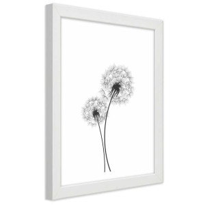 Plakat w ramie białej, Narysowane dwa dmuchawce - 20x30