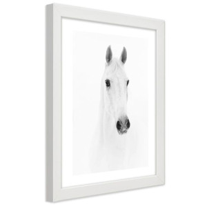 Plakat w ramie białej, Siwy koń - 30x45