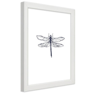 Plakat w ramie białej, Narysowana ważka - 30x45