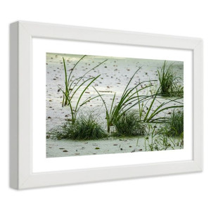 Plakat w ramie białej, Trawy na plaży - 30x20