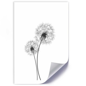 Plakat, Narysowane dwa dmuchawce - 40x60