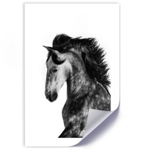 Plakat, Dziki rumak - 60x90