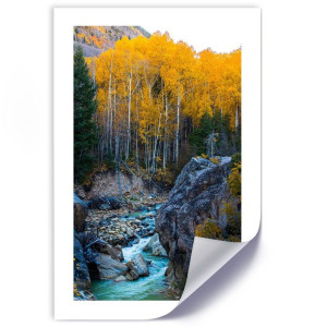 Plakat, Potok w lesie - 60x90