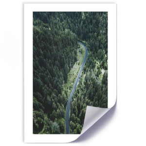 Plakat, Droga w lesie - 70x100