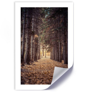 Plakat, Las jesienią - 30x45