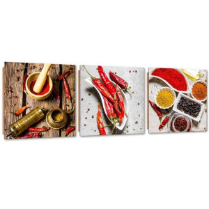 Zestaw obrazów Deco Panel, Ostre przyprawy z papryczki chili - 90x30