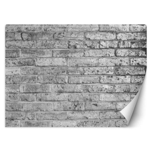 Fototapeta, Mur z szarych cegieł - 450x315