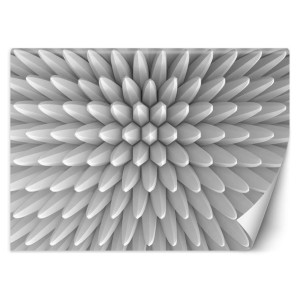 Fototapeta, Abstrakcyjny motyw - 350x245