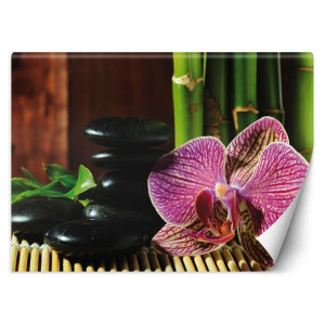 Fototapeta, Orchidea, kamienie zen i bambus - 200x140