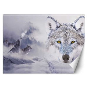 Fototapeta, Wilki w zimie - 400x280