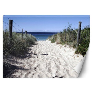Fototapeta, Ścieżka na plażę - 200x140