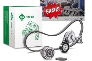 Ina Zestaw Rozrządu Ford