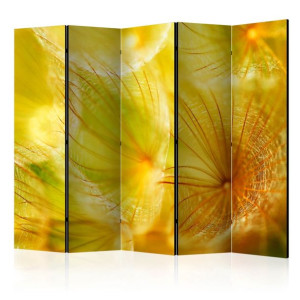 Parawan 5-częściowy - Delikatne puszki dmuchawca II [Room Dividers]