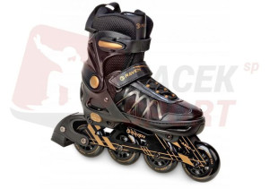 Rolki Raven Expert Gold 37-40