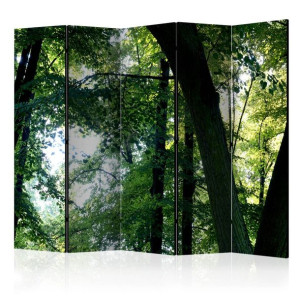Parawan 5-częściowy - Wiosna w parku II [Room Dividers]