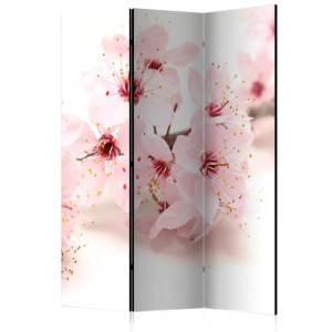 Parawan 3-częściowy - Kwiat wiśni [Room Dividers]