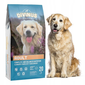 Divinus Adult 20kg :: Duże Psy :: Golden Labrador Owczarek :: Mix Mięsny