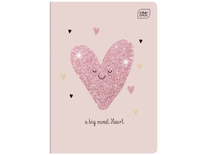 INTERDRUK Zeszyt A5 LINIA DWUKOLOROWA 16 K Glitter