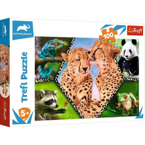 Puzzle Trefl 100 16424 piękno natury