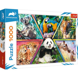 Puzzle Trefl 1000 10672 królestwo zwierząt