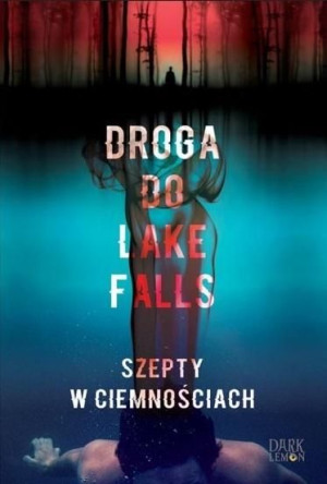 Droga do Lake Falls Artur K. Dormann